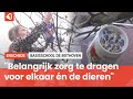 Potje met vet: basisschool De Bothoven denkt aan de vogeltjes