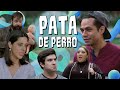 COLECCIÓN I PATA DE PERRO