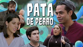 Download lagu COLECCIÓN I  PATA DE PERRO mp3