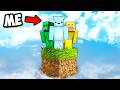 Minecraft But It S One REALISTIC Block