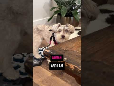 Her Dog Is Acting Strange