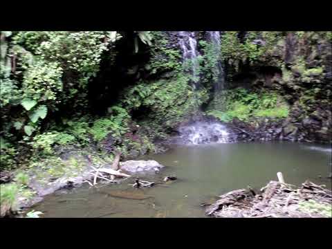 Мадагаскар. Национальный Парк Монтань д'Амбр. Лесной водопад.