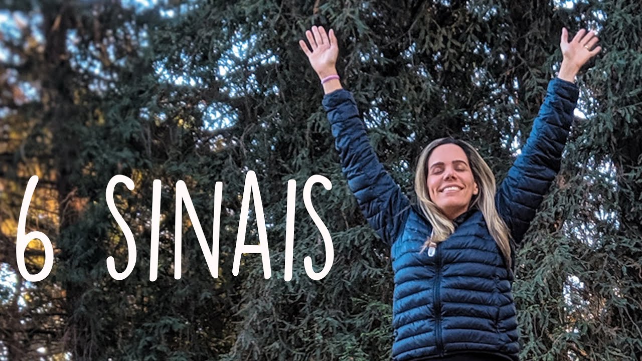 6 SINAIS DE QUE VOCÊ VAI FICAR RICO USANDO A LEI DA ATRAÇÃO