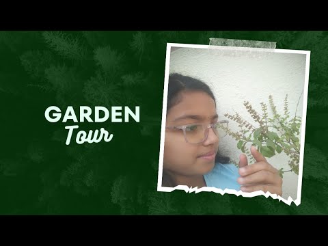 My little garden tour-l Love nature- Shravani's Little House