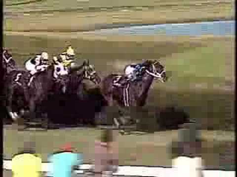 1989 Breeders' Cup Mile