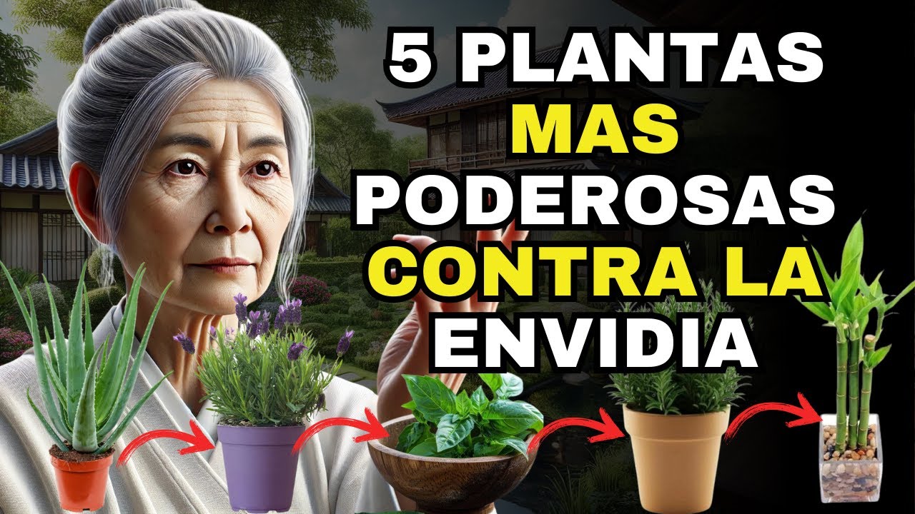 ¡Quieres Alejar la ENVIDIA! SIEMBRA estas 5 PLANTAS | Enseñanzas budistas