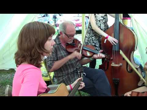 Apple Blossom, Clifftop 2015
