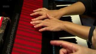Video thumbnail for How To Play The Haken Continuum Fingerboard by Seekmage