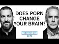 The Truth About Pornography Dr Jordan Peterson Dr Andrew Huberman