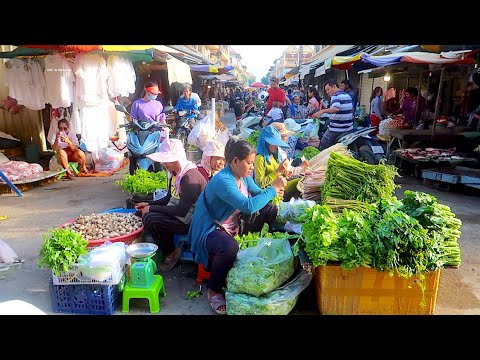 Phnom Penh Cambodia Wet Market | Chhouk Meas Morning Market