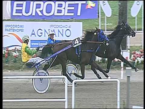 Trotto 21/10/2016 - 1ª corsa