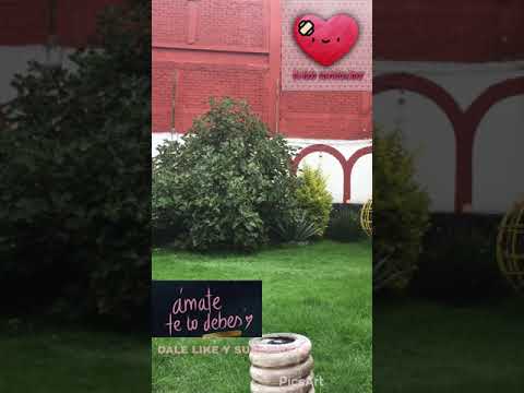 Carta para mi futuro yo | Carta para mi yo del futuro | mensaje motivador