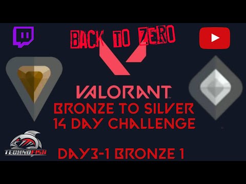 Day 3 bronze-silver chall (back to zero) #lfg #underdogsociety 85/100 yt subs