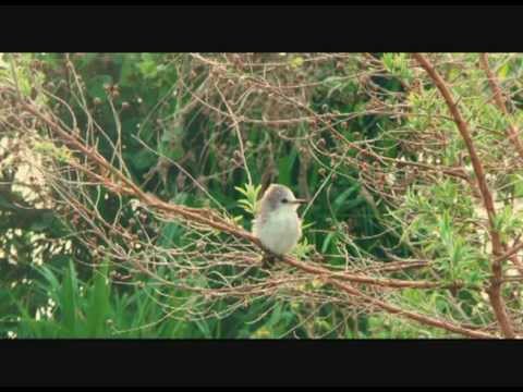 ANDA Responsible Travel - Ibera Marshlands