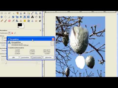 Gimp für Einsteiger Teil 3- Transformieren