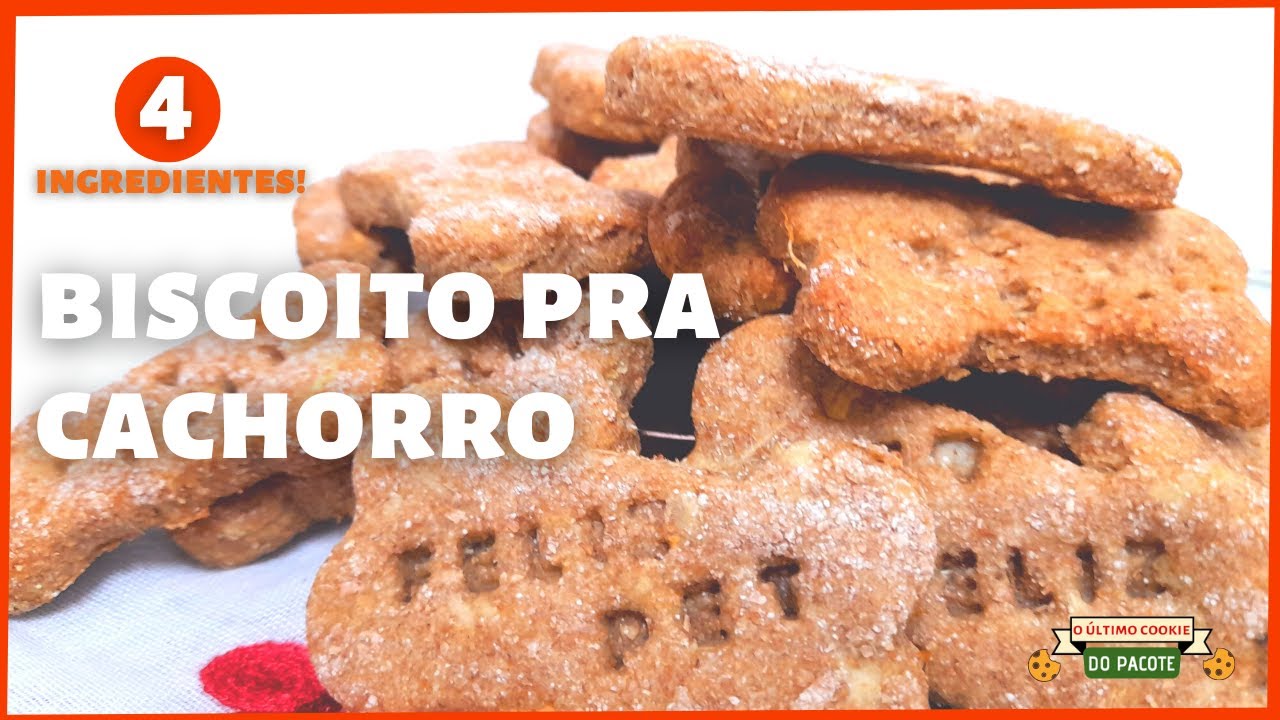 FOI SUCESSO! Como fazer biscoito pra cachorro com 4 ingredientes!