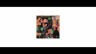 Keith Hudson - Rasta Communication In Dub - LP - Greensleeves Records