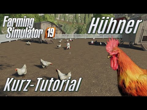 LS19: Hühner Kurz-Tutorial - für Eilige