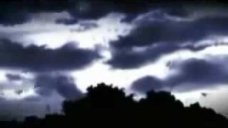 Lambchop - The Puppy and the Leaf