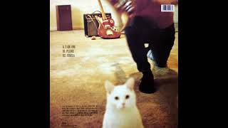 The Smashing Pumpkins - Plume (Instrumental)