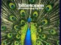 Vampire-the Bluetones