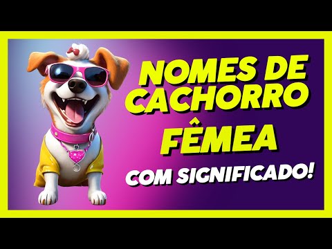 NOMES DE CACHORRO FÊMEA COM SIGNIFICADOS!