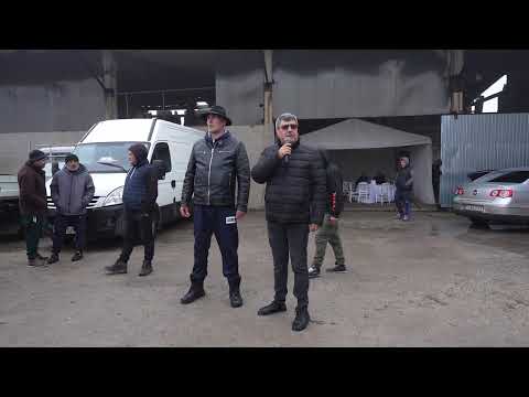 Horse and sheep exhibition in Amărăştii de Jos!