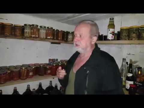 Food collection and storage