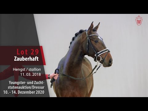 Youngster- und Zuchtstutenauktion/Dressur Lot 29 Zauberhaft Hengst v. Zoom - Rotspon