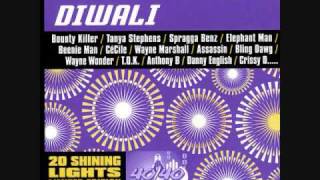 Diwali Riddim (XM 24) by Steven "Lenky" Marsden