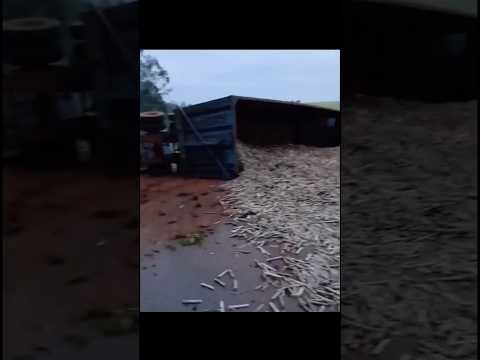 🚜 Caminhão carregado de cana tomba entre Nova Aliança e Jaci — motorista é socorrido