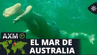 Thumbnail del capítulo