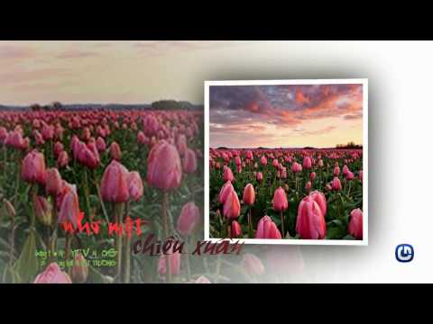 NHỚ MỘT CHIỀU XUÂN