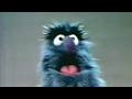 Classic Sesame Street Herry Shows Near And Far