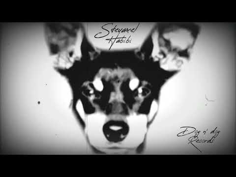 StevAxel - Habibi ( Original Mix ) " DOG N' DOG RECORDS "