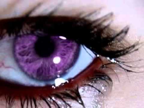 Wipe the Tears From Your Eyes