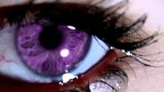 Wipe the Tears From Your Eyes Music Video
