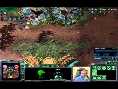 Tourney Finals Game1 - Mass Raven TvP - Starcraft 2 HotS