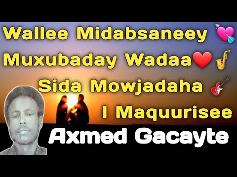 gacayte | Axmed gacayte heesta waan maagane | axmed gacayte hees midabsan | waan maagane | midabsan