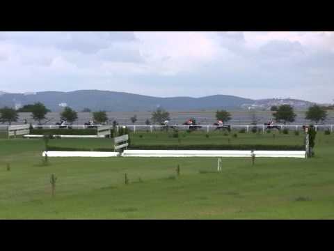 BR, 20. 6. 2015, 1. dostih - Cena dvouletků firmy MEWOTECH CZ, s.r.o.