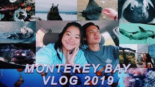 Monterey Bay California *BEST AQUARIUM* Road Tripping America with Zac | TRAVEL VLOG 2019 (Part 4)