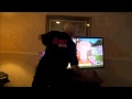 ANGRY GRANDPA SMASHES HDTV Remix