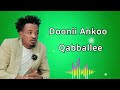 Doni Anko Qabballee