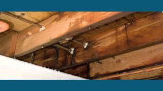 Addressing mold after a natural disaster