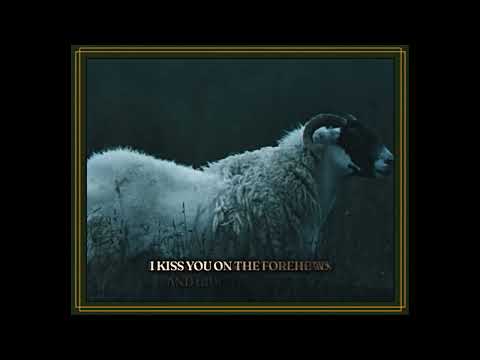 Turnpike Troubadours - Ruby Ann (Official Lyric Video)