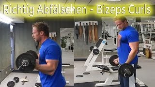 Bizepscurls SZ Stange: Abfälschen (Intensiv-Technik) |  Bizeps Training SZ Stange Übungen