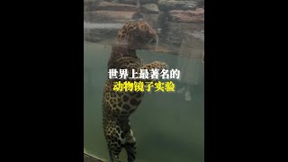 [問卦] 沒辦法自己一個人去吃飯看電影的人多嗎?