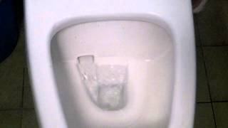 [難過] 馬桶沖水不蓋的+1