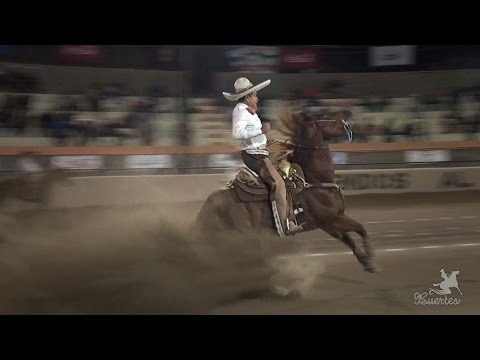1er lugar Cala de Caballo  Miguel Vega -  Los Tres Toños, Nayarit 2017