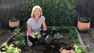 Garden Girl - It's Tomato Planting Season!...